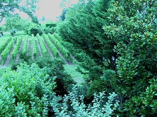 Les Id De Saint Emilion Bed and Breakfast Buitenkant foto